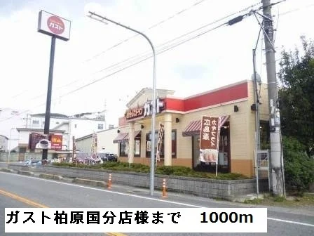 ガスト柏原国分店様まで1000m