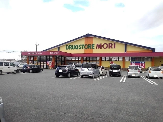 ドラッグストアモリまで1000m
