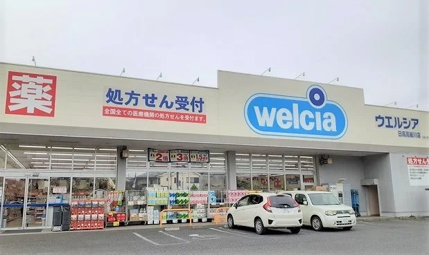 ウエルシア日高高麗川店まで900m