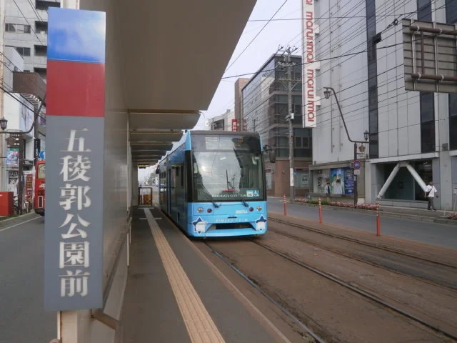 市電電停 五稜郭公園前まで250m