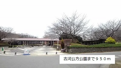 古河公方公園まで950m