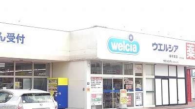ウエルシア幸手東店まで1200m