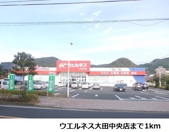 ウエルネス大田中央店まで1000m