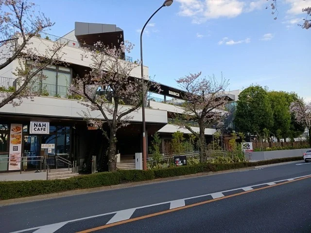 ブランチ　調布店まで1300m