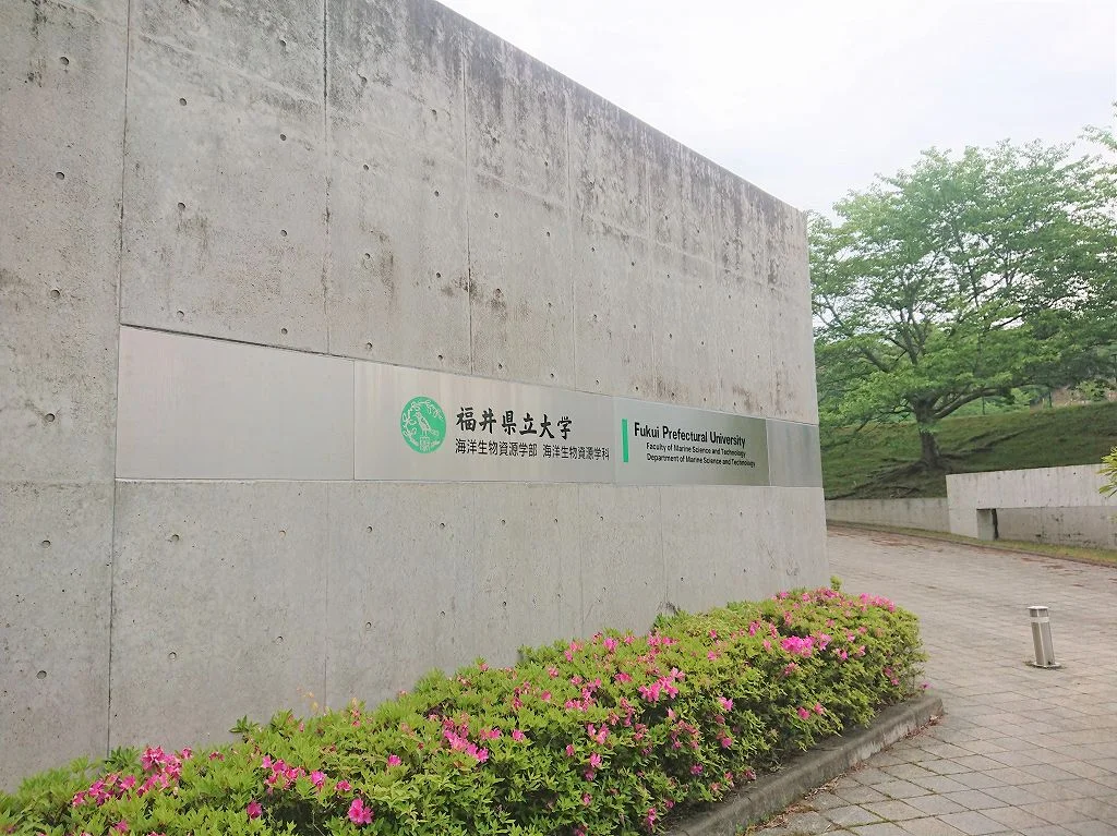 福井県立大学まで約800m