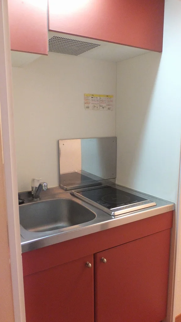 ２口ラジエントヒーター