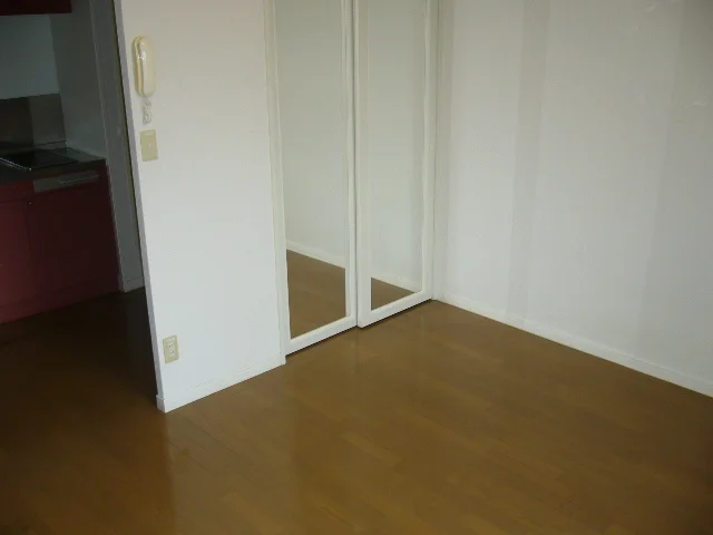 ミラーをスライドするとクローゼットになっています。