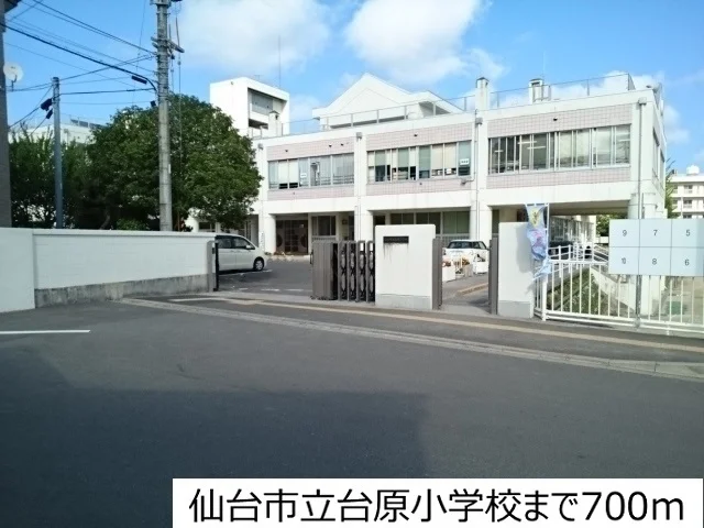 仙台市立台原小学校まで700m
