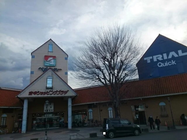 トライアルマート安中店まで1200m