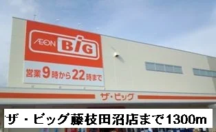 ザ・ビッグ藤枝田沼店まで1300m