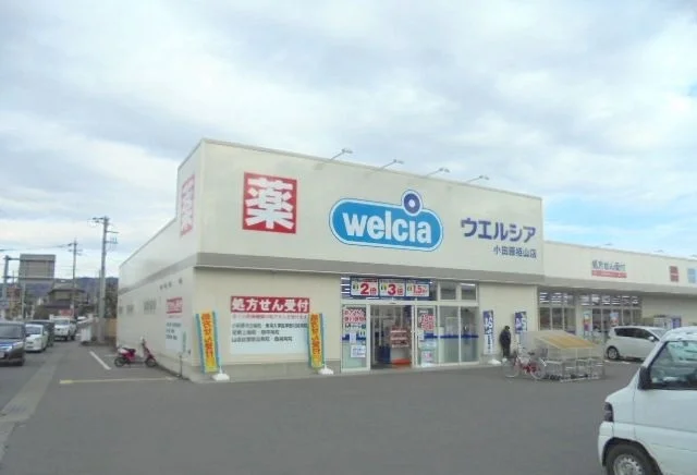 ウエルシア小田原栢山店まで220m