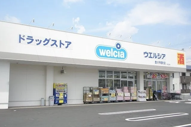 ウエルシア豊川平尾店まで500m