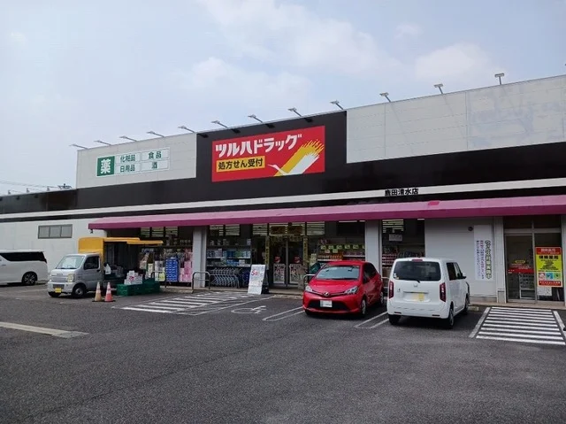 ツルハドラッグまで850m