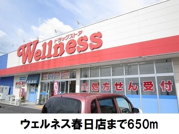 ウェルネス春日店まで650m