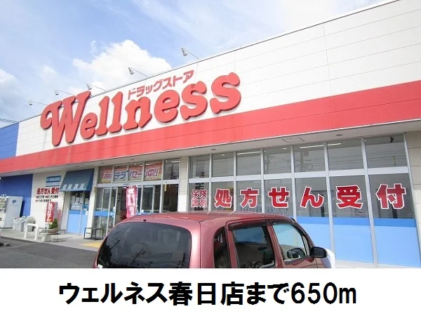 ウェルネス春日店まで650m