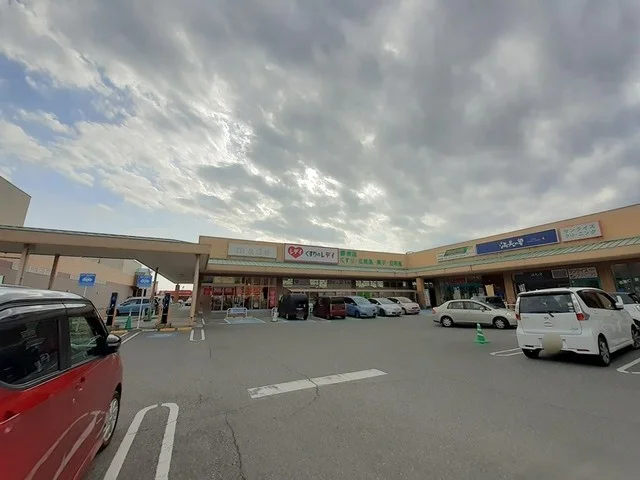 くすりのレデイ 野市店まで2700m