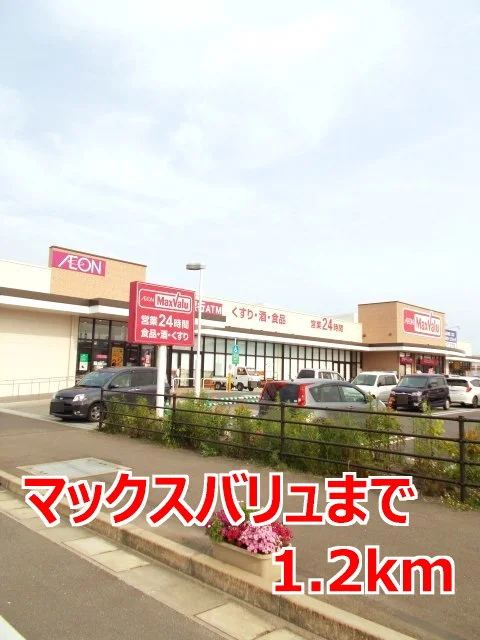 マックスバリュまで1200m