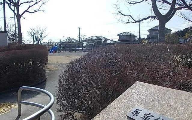 原宿公園まで182m