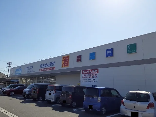 ウェルシア中江島町店まで850m