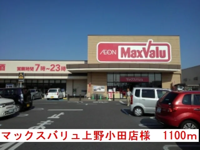 マックスバリュ上野小田店様まで1100m