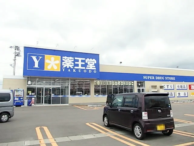 薬王堂　横手赤坂店まで1100m