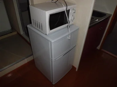 冷蔵庫と電子レンジ。