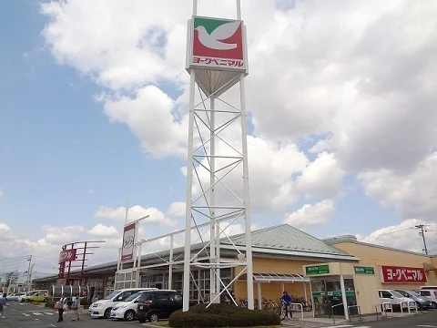 ヨークベニマル八山田店まで450m