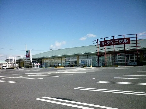 ヨークベニマル八山田店まで1500m