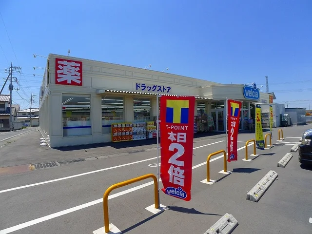 ウェルシア太田鳥山店まで850m
