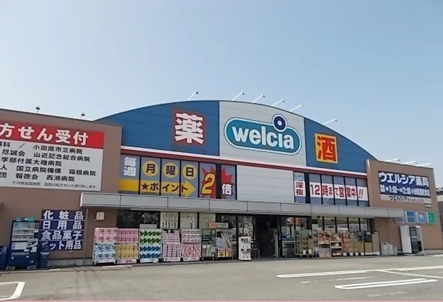 ウエルシア国府津店まで450m