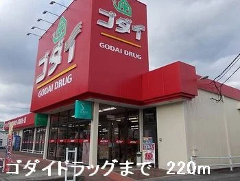 ゴダイドラッグまで220m
