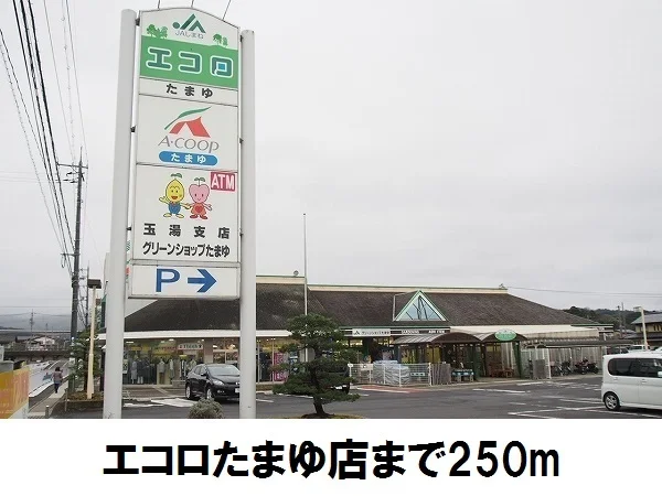 エコロたまゆまで250m