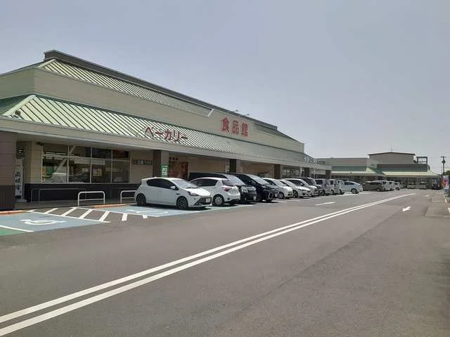 フジ宿毛店まで750m