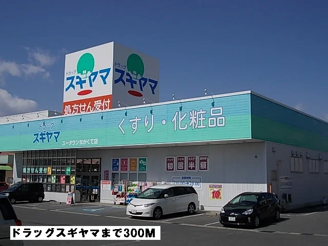 ドラッグスギヤマまで300m