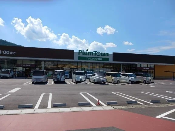 プラムタウン真庭様まで1700m
