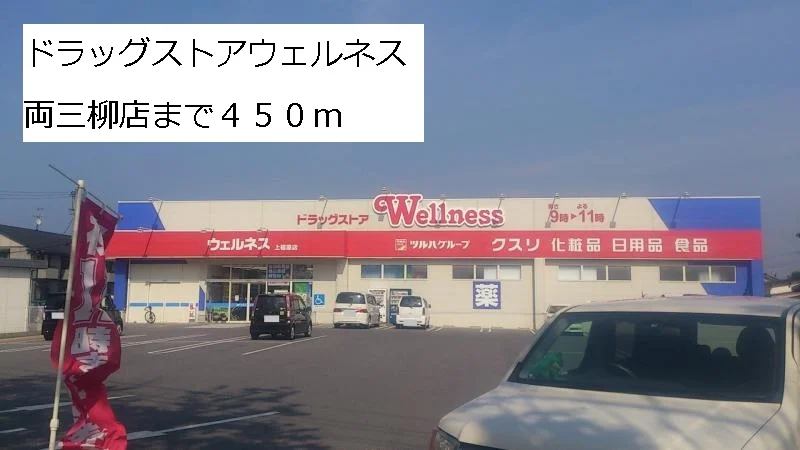 ウェルネス両三柳店まで450m
