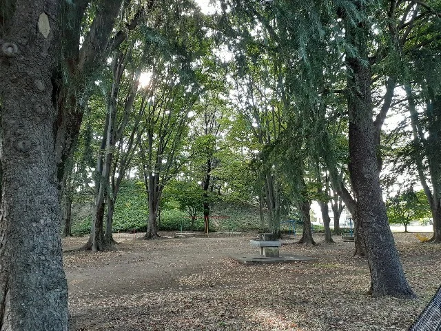 八幡山公園まで50m