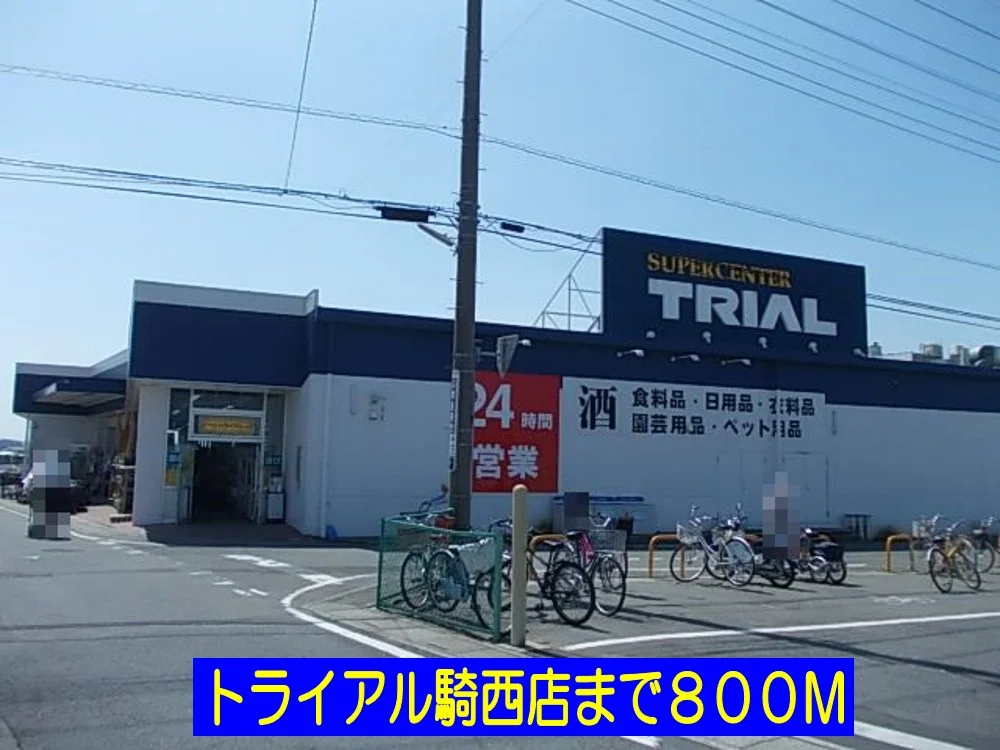 トライアル騎西店まで800m