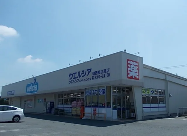 ウエルシア騎西根小屋店まで1000m