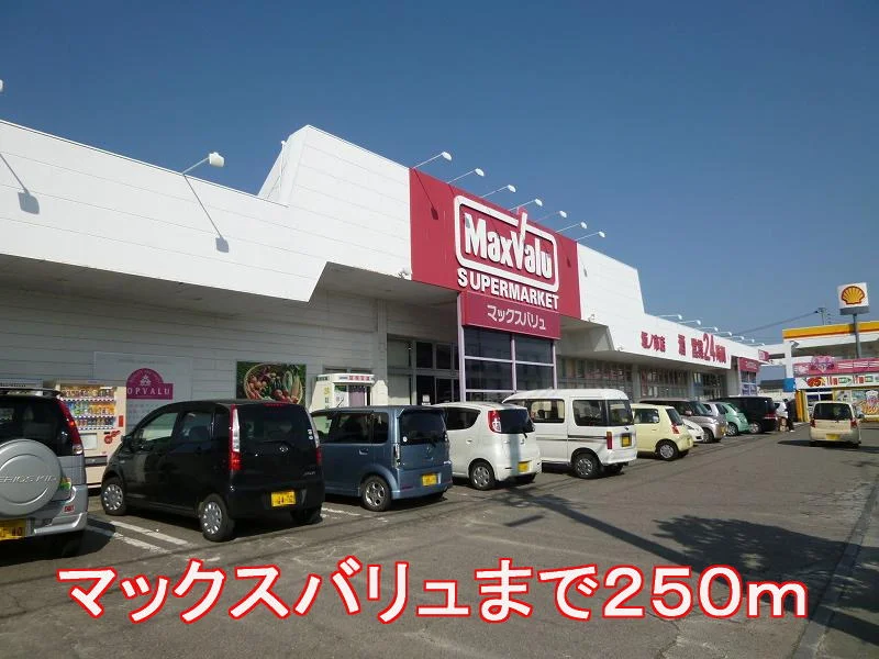 マックスバリュまで250m