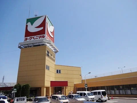 ヨークベニマル富久山店まで2500m