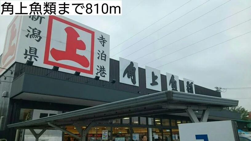 角上魚類まで810m