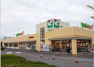 ヨークマート伊勢原店まで800m