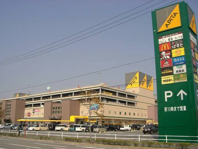 アピタ岡崎北店まで1300m
