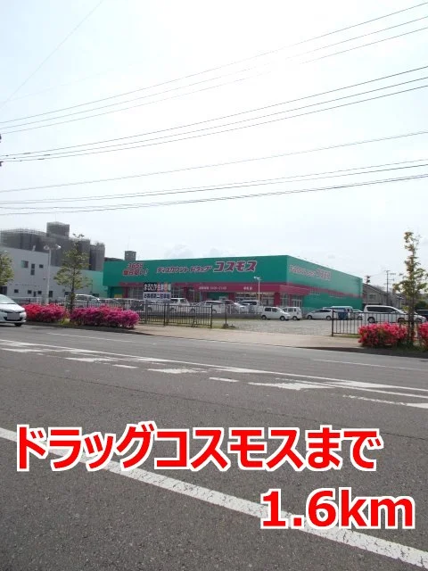 ドラッグコスモスまで1600m