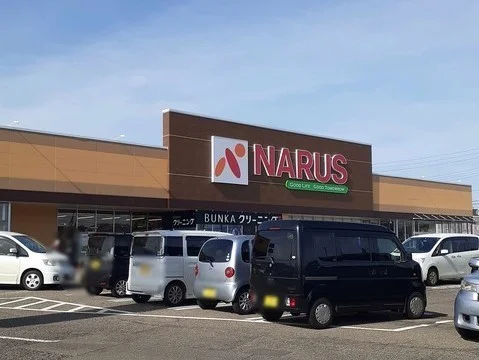 ナルス国府店まで1100m