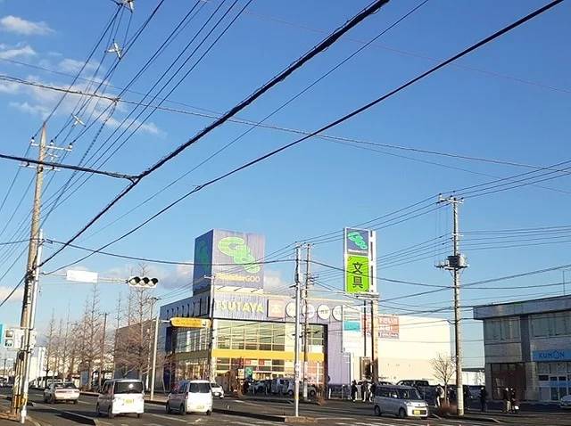 ワンダーグー　ひたちなか店まで1000m