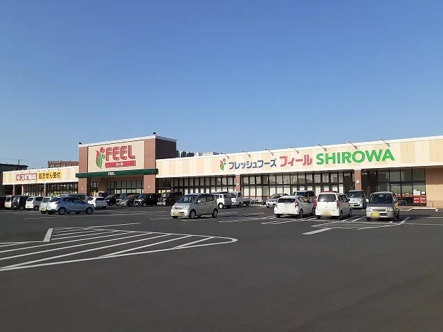 フィール SHIROWA店まで1200m