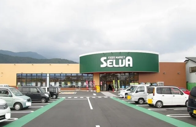 セルバ本店まで550m