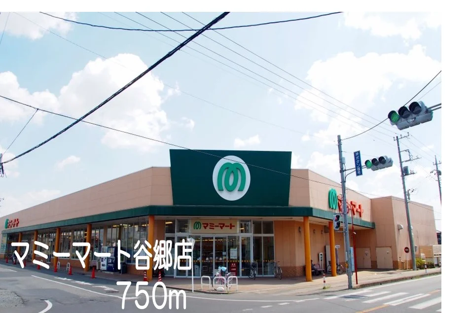 マミーマート谷郷店まで750m